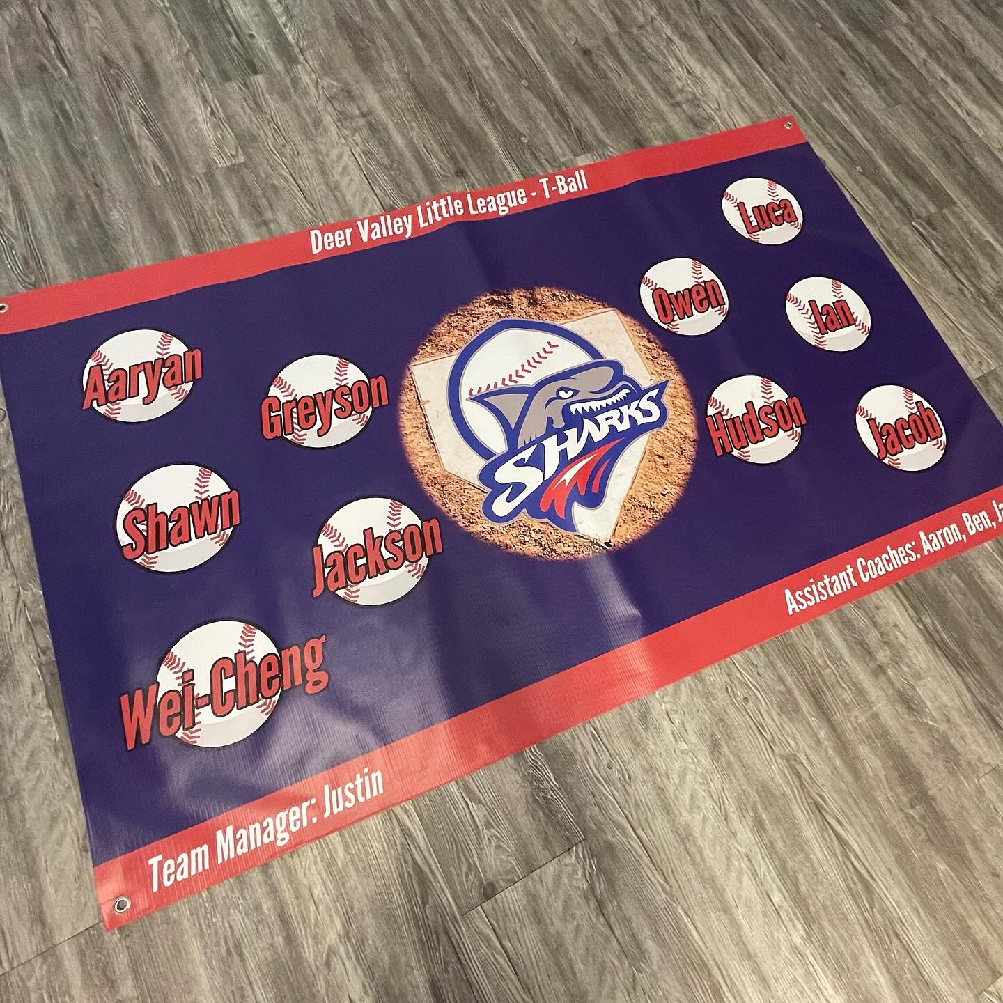 Baseball Banner
